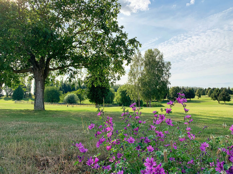 Domaine de Crécy