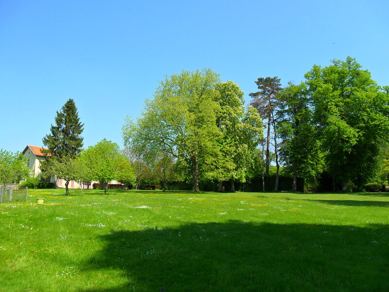 Le Manoir de la Tour - Chambres d'hôtes